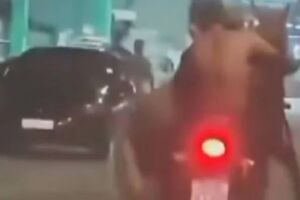 Cavalo é transportado por dois homens em moto no Rio de Janeiro (vídeo)