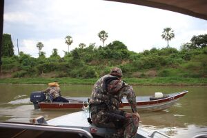 Piracema começa nesta terça-feira e pesca fica proibida em todos os rios de MS