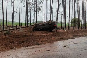 Veículo capotou e atingiu algumas árvores às margens da rodovia