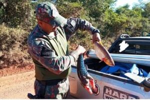 Homem é preso por pesca ilegal em Bonito