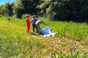 Mulher é encontrada morta às margens da BR-376, em Ivinhema