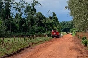 Fugindo da PRF, homem morre após ser picado por abelhas em Nova Andradina