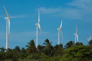 Brasil bate recordes de geração de energia eólica em novembro