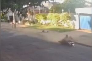 Choque prende motociclista que atropelou idosa e fugiu no Tiradentes (vídeo)