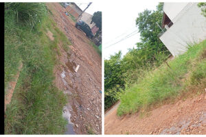 Rua sofre com o mato alto e com as diversas crateras