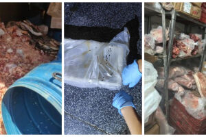 Dono de supermercado é preso por vender carne estragada e com larvas no Itamaracá 