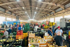 Alta do diesel eleva custos do transporte e 'respinga' em pre&ccedil;o de alimentos na Ceasa