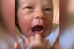 Chloe é a fofura em pessoa, com seus dois dentinhos