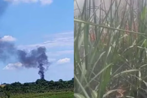 Avião cai em canavial e mata duas pessoas em SP (vídeo)