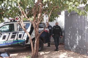 Policiais encontraram suspeito em uma árvore | Imagem ilustrativa