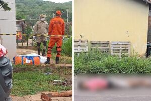 Suspeito de matar irmãos a facadas em Corumbá é preso 