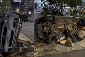 Motorista arranca árvore em grave acidente em Campo Grande (vídeo)