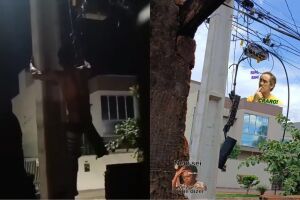 Moradora flagra ação de ladrão para tentar roubar fios na Vila Nasser (vídeo)
