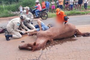 Cavalo solto é atropelado por motociclista no Lageado (vídeo)
