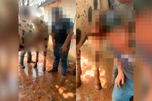 Em tom de 'brincadeira', empresários filmam abuso de adolescente e cavalo em MS (vídeo)