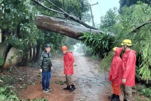 Temporal causa estragos e Jardim entra em Situação de Emergência