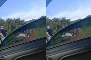 Carro capota e motorista morre em Água Clara
