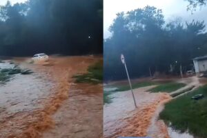 Temporal faz córrego transbordar e alaga Avenida Guaicurus (vídeo)