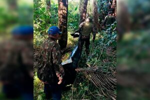 Onça que matou 'Jorginho' pode ter atacado por fome, diz PMA (vídeo)
