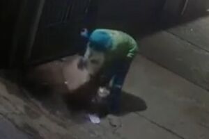 Coletor recolhe lixo em calçada e emociona moradora em Campo Grande: "orgulho da profissão" (vídeo)