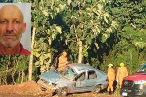 Carro sai da pista, bate em árvore e motorista morre na BR-463
