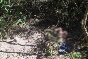 Corpo estava na área de mata