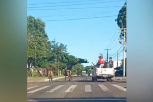 Segura, peão! De cima de caminhonete, homem tenta laçar cavalos no Rita Vieira 
