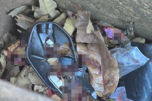 Motociclista que morreu no Los Angeles perdeu controle em quebra-molas (vídeo)