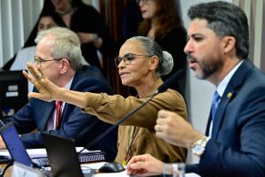 Senador bate boca com Marina Silva: "Submissa eu não sou" (vídeo)