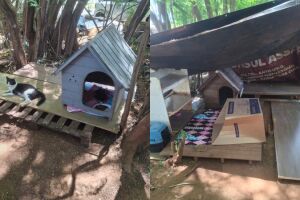 Protetoras reconstroem abrigos de gatos destruídos pela Prefeitura no Santo Amaro