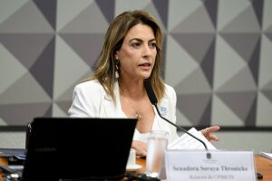 Soraya promete levar relatório próprio às autoridades 
