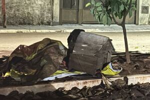 Casinhas de gatos comunitários são destruídas no Santo Amaro, denuncia vereadora (vídeo)