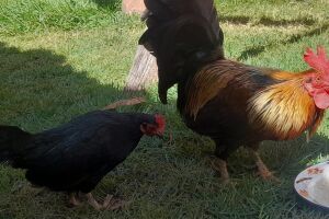 Carmen e Ilho na casa da família