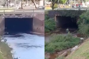 Homem é flagrado 'pescando' em córrego de Campo Grande (vídeo)
