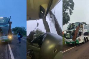 Acidente entre ônibus de viagem e caminhão deixa feridos na BR-262; há relatos de óbitos