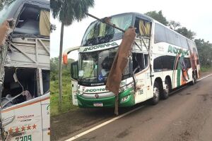 Falha na pista pode ter motivado acidente com mortes na BR-262, diz motorista de ônibus