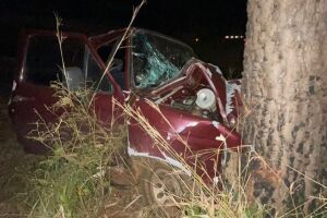 Caminhonete bate em árvore e casal de idosos fica em estado grave na BR-060