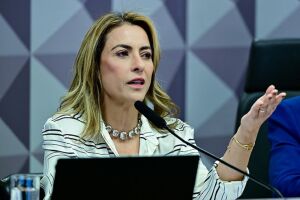 Soraya relata projeto que autoriza doação de comida a ONGs 