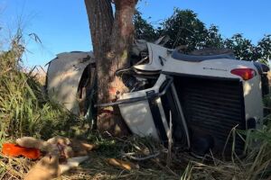 Polícia confirma quatro mortes e identifica vítimas de grave acidente em Miranda