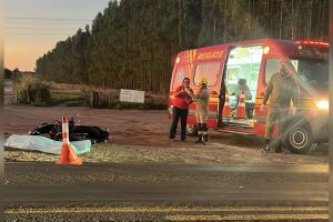 Motociclista morre em acidente com ônibus na BR-262, em Ribas do Rio Pardo (vídeo)