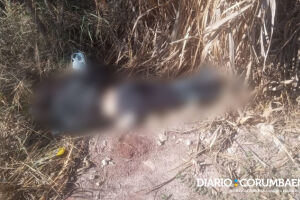 Mulher é encontrada morta em matagal de Corumbá com sinais de tortura