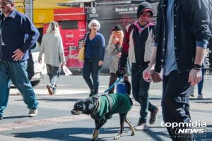 Frente fria pode derrubar temperaturas a 0°C e trazer geada no Dia dos Pais
