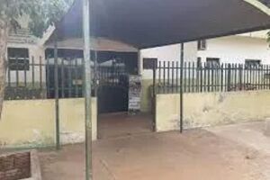 Motociclista tenta escapar de ataque de onça e sofre queda em MS