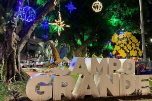 Segundo o texto, as empresas interessadas poderão patrocinar a decoração e, em troca, divulgar suas marcas nos locais iluminados