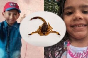 Adrian e Valentina faleceram após serem picados por escorpiões