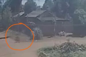 Moradora tem bicicleta roubada em plena luz do dia, no Indubrasil