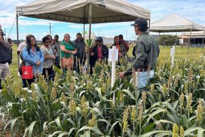 Governador muda comando da Agraer-MS