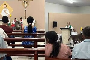 Visitante inesperado, anta invade igreja durante missa e diverte fiéis em Sonora
