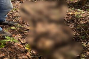 Ossada de homem é encontrada em área de mata em Maracaju