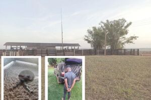 Peão é condenado a 21 anos de prisão por matar colega com mais de 30 facadas em Água Clara